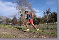 Begles 15.12.13 01 646 * 679 x 453 * (142KB)